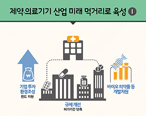 약·의료기기 산업 미래 먹거리로 육성1/글로벌 50대 제약기업 진입