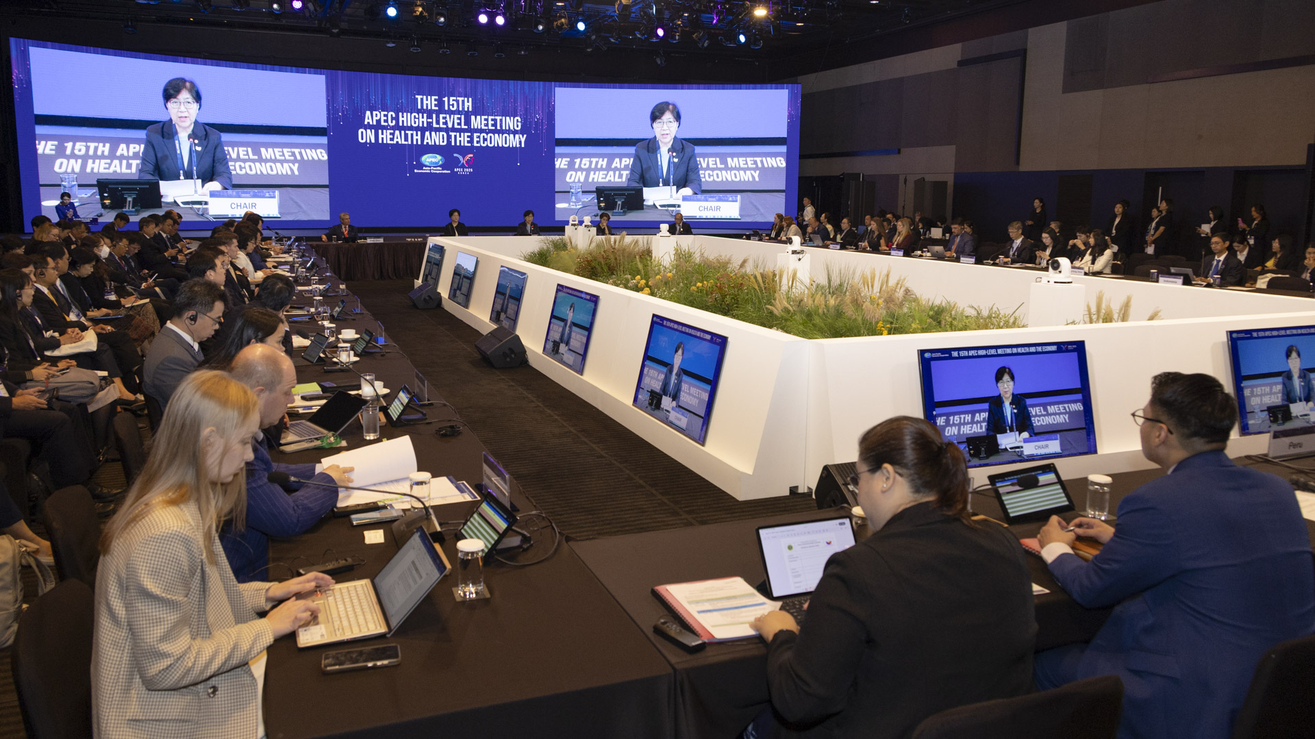 한국 최초, 아시아태평양경제협력체(APEC) 보건과경제 고위급회의 개최 사진17
