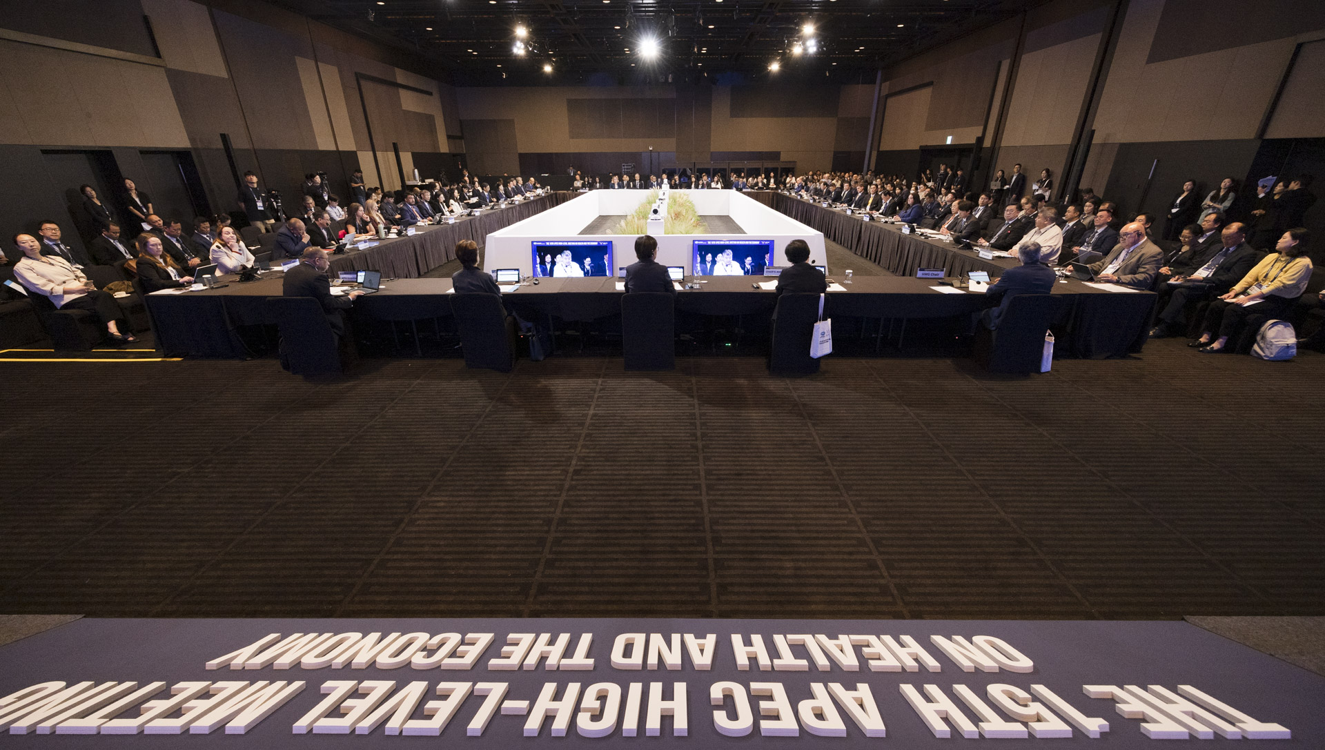 한국 최초, 아시아태평양경제협력체(APEC) 보건과경제 고위급회의 개최 사진27